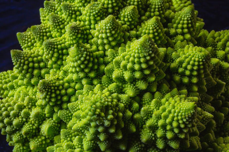 recursive_fractals